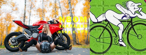 шишки Новый Уренгой