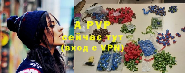 индика Орехово-Зуево
